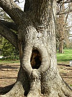 2008 GettysburgCamping-036.JPG